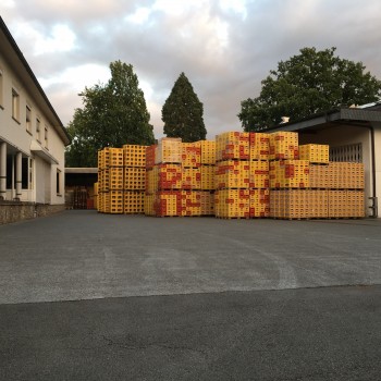 Besichtigung der Brauerei Strate